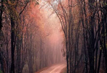 买基金可以随时退出吗，买基金算是炒股吗