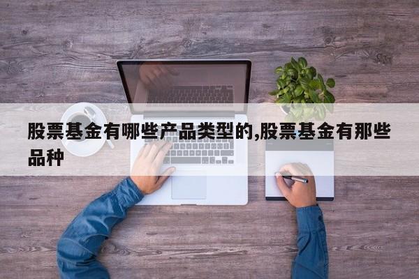 股票基金有哪些产品类型的,股票基金有那些品种